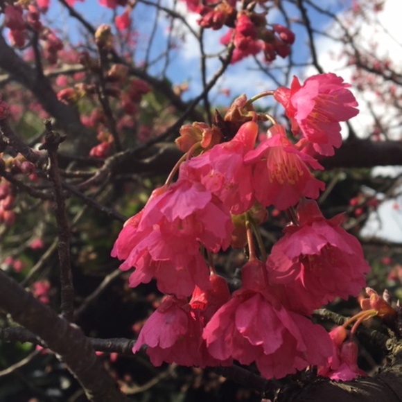 Meet your Posher, H - Picture 5 of 16